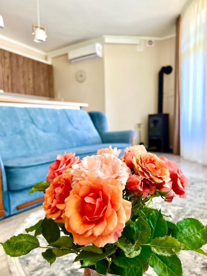 Apartmán Авіа Užhorod Exteriér fotografie